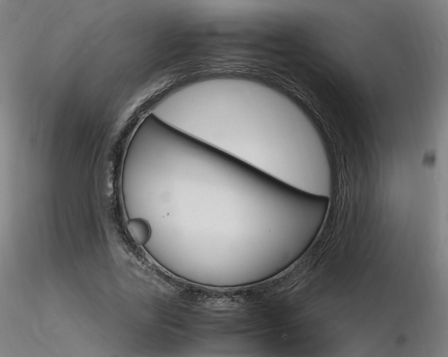 X0000116370731200912021009