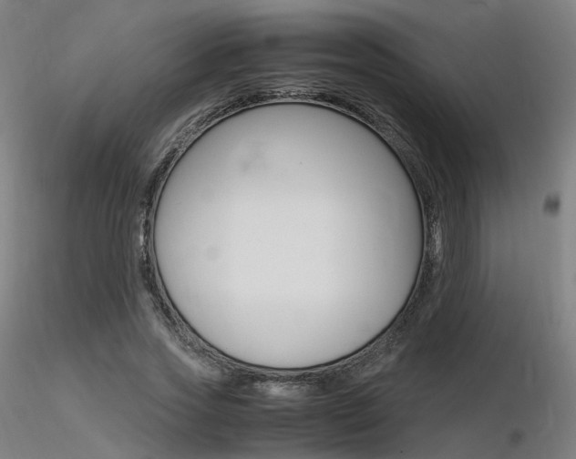 X0000116370733200912021009