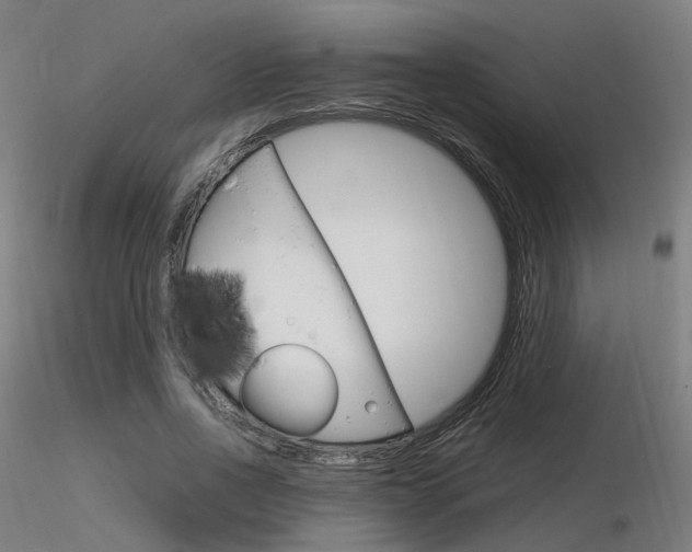 X0000116370734200912021009