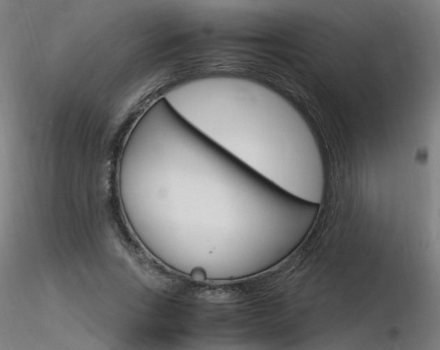 X0000116370735200912021009