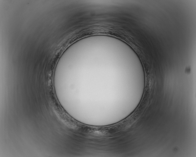 X0000116370737200912021009