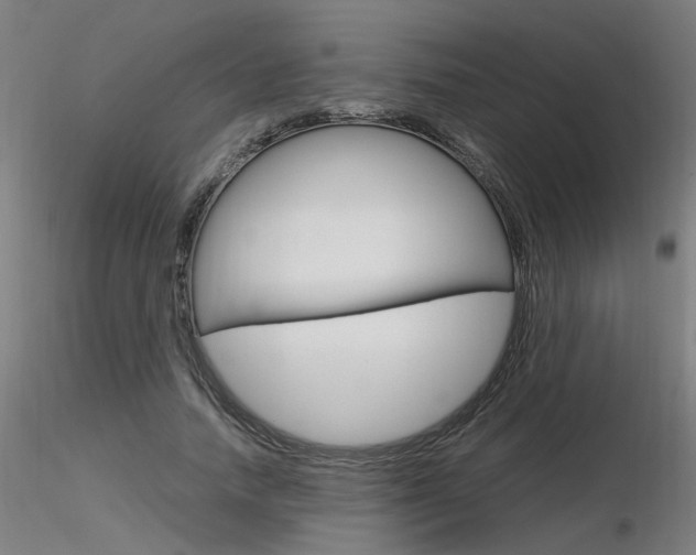 X0000116370738200912021009