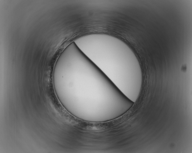 X0000116370739200912021009