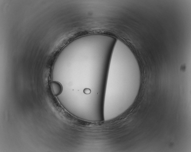X0000116370742200912021009