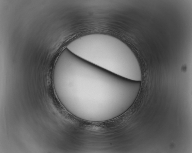 X0000116370743200912021009