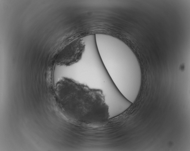 X0000116370745200912021009