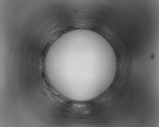 X0000116370749200912021009