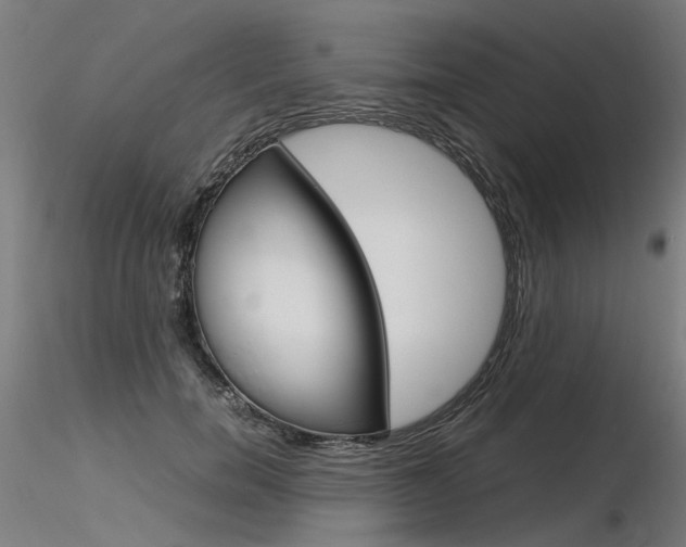 X0000116370750200912021009