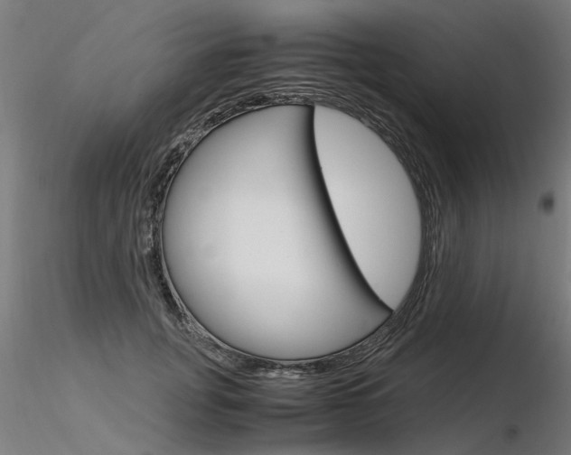 X0000116370751200912021009