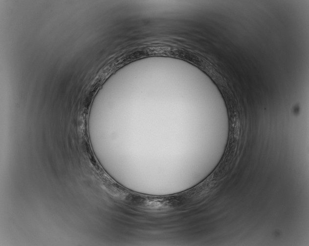 X0000116370753200912021009