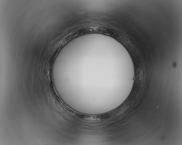 X0000116370754200912021009