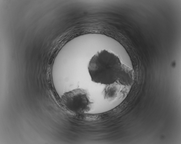 X0000116370757200912021009