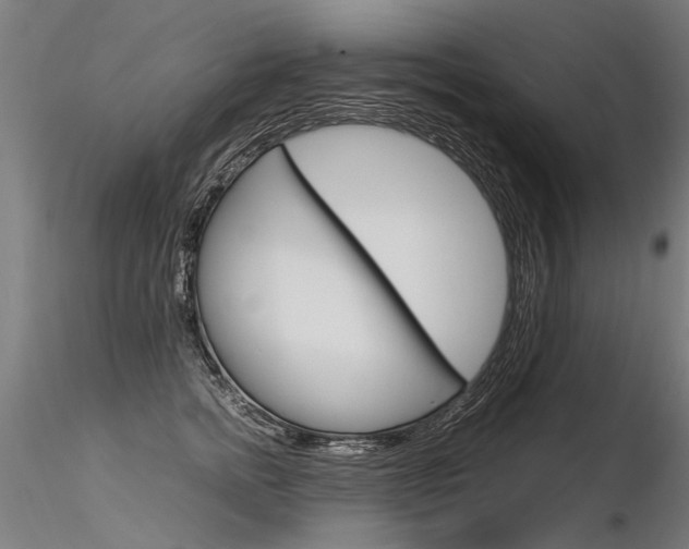 X0000116370758200912021009