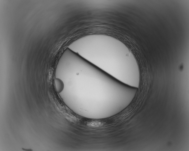 X0000116370759200912021009