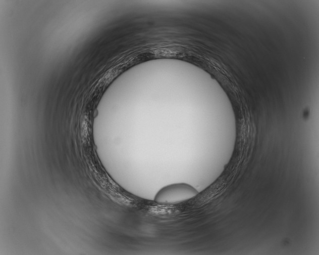 X0000116370761200912021009