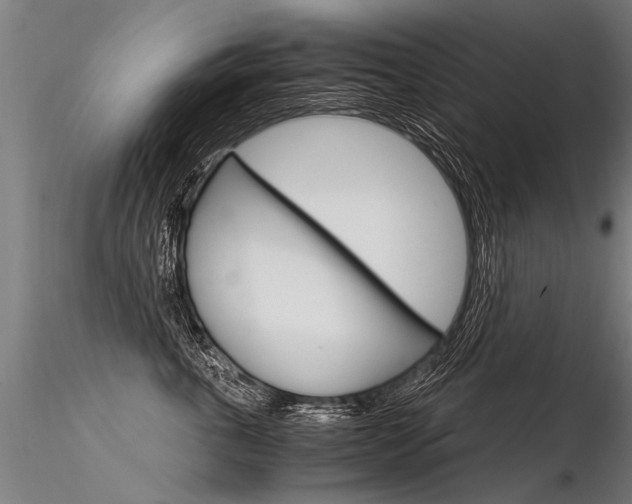 X0000116370763200912021009