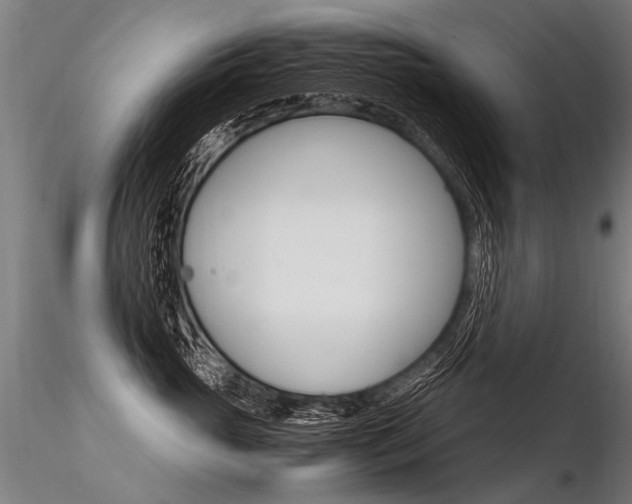 X0000116370765200912021009