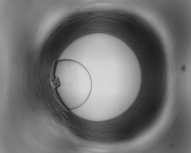 X0000116370766200912021009