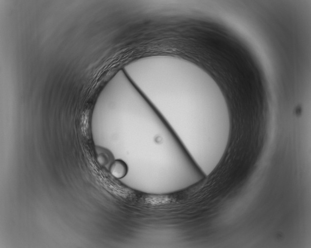 X0000116370767200912021009