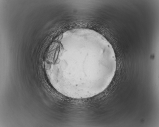 X0000116370769200912021009