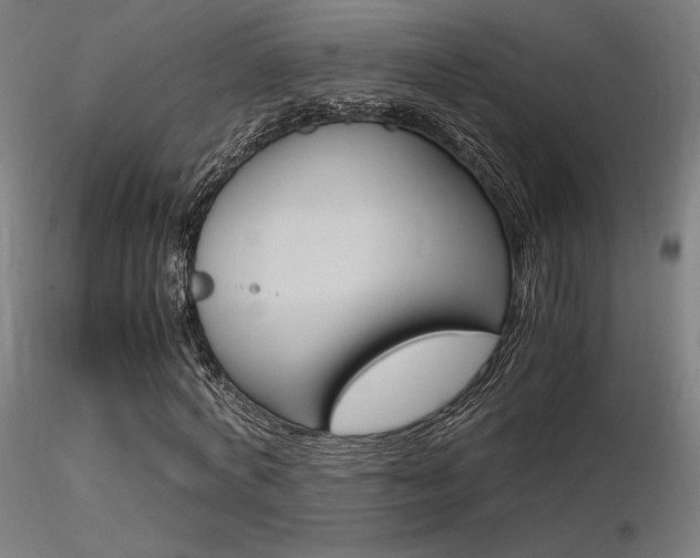 X0000116370772200912021009