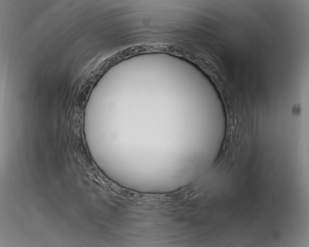 X0000116370773200912021009