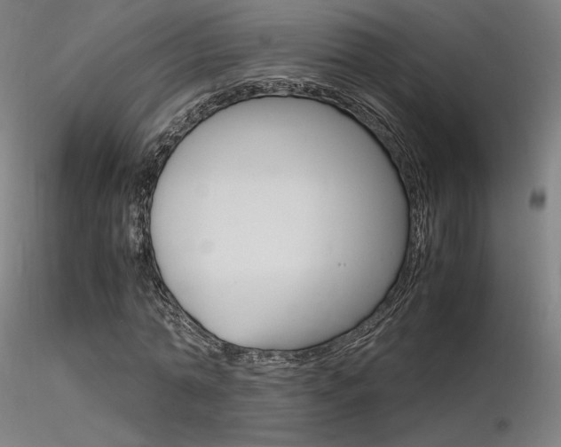 X0000116370774200912021009