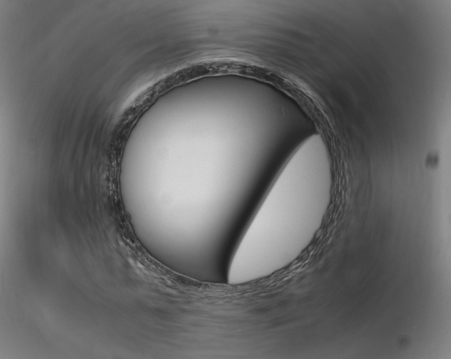 X0000116370775200912021009