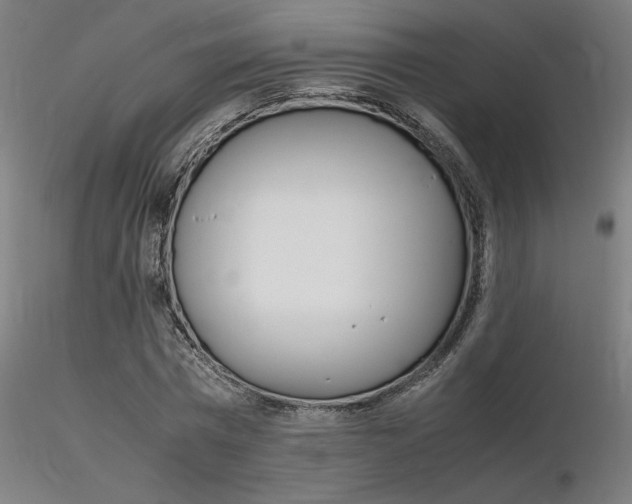 X0000116370777200912021009