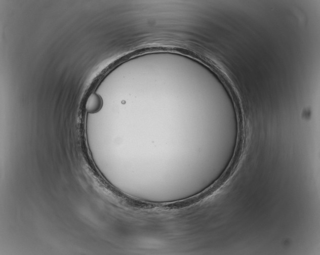 X0000116370779200912021009