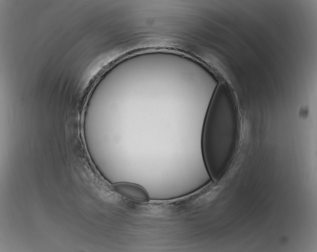 X0000116370781200912021009