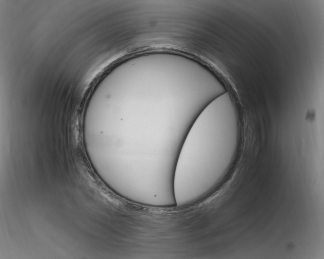 X0000116370782200912021009