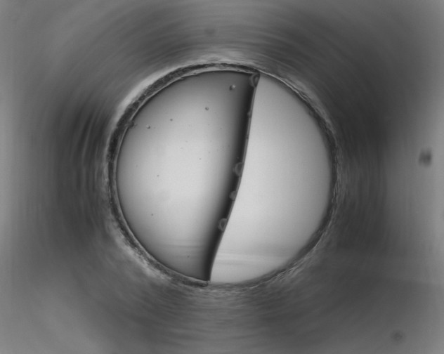 X0000116370784200912021009