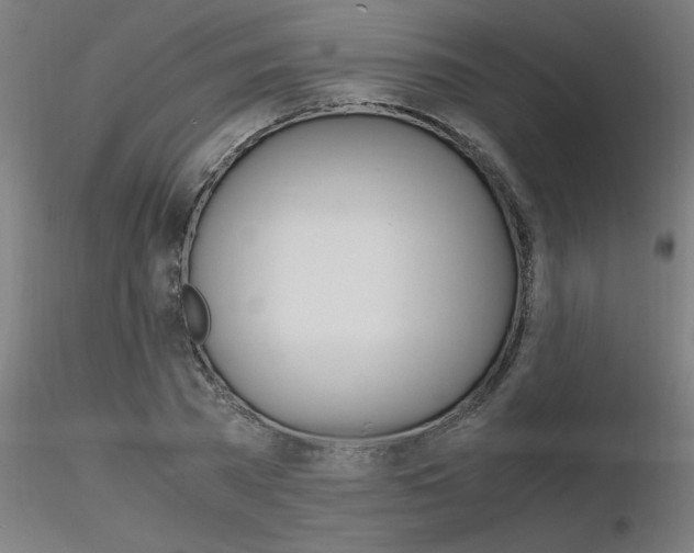 X0000116370785200912021009