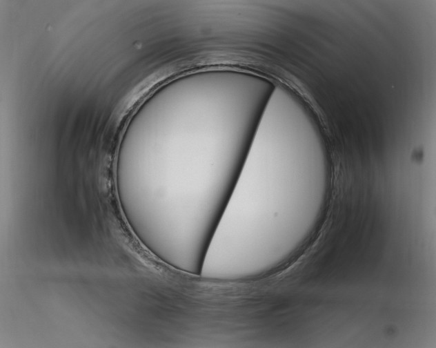 X0000116370786200912021009