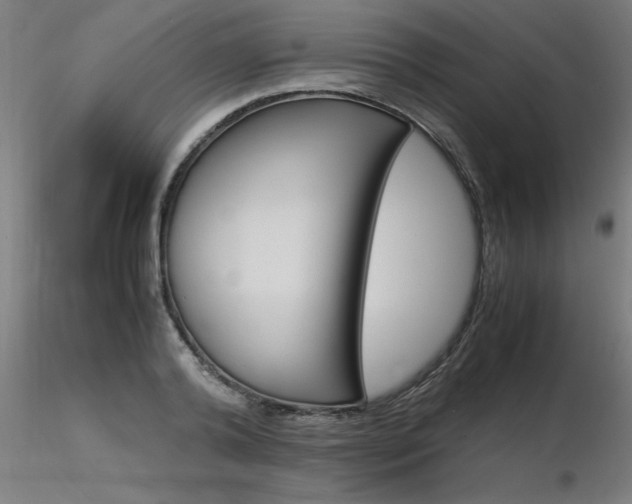 X0000116370792200912021008