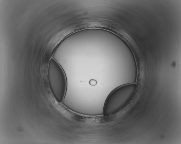X0000116370793200912021008