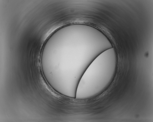 X0000116370794200912021008