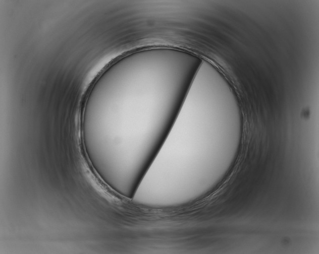 X0000116370796200912021008