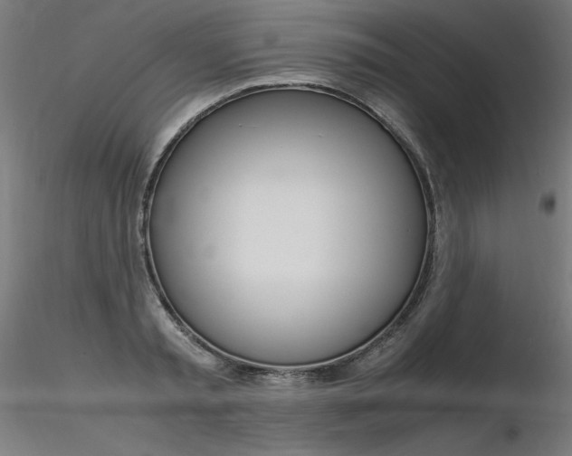 X0000116370797200912021008