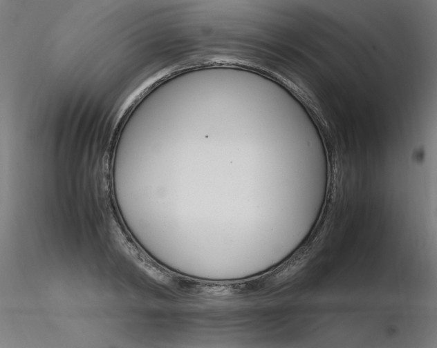 X0000116370798200912021008
