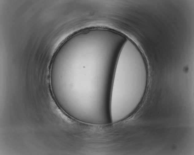 X0000116370799200912021008
