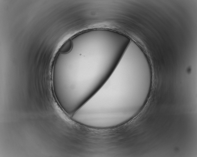 X0000116370800200912021008