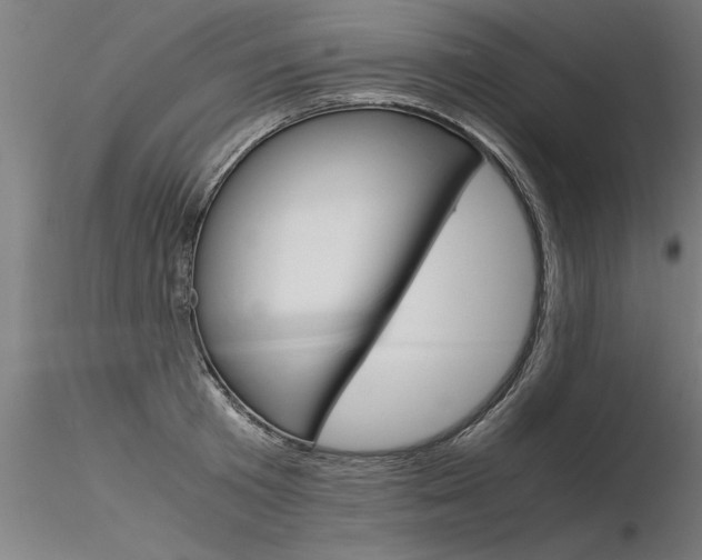 X0000116370801200912021008