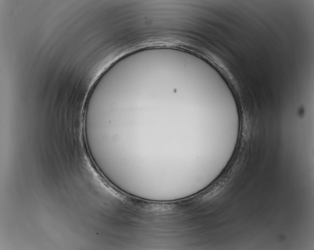 X0000116370802200912021008