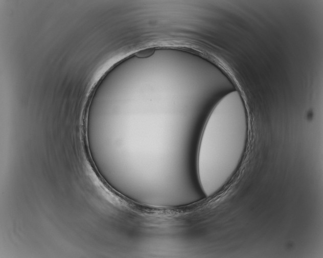 X0000116370803200912021008