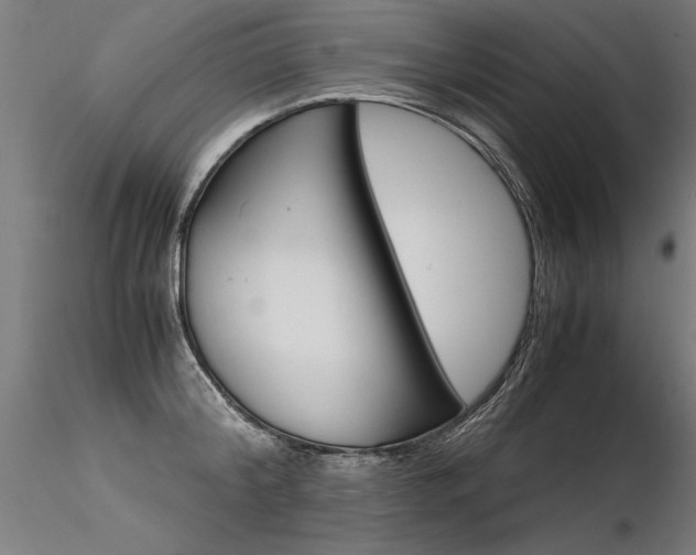 X0000116370804200912021008