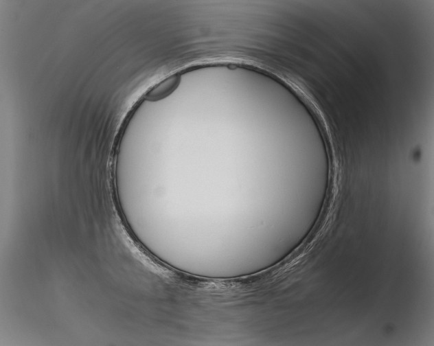 X0000116370805200912021008