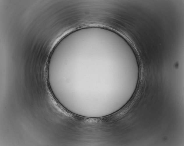 X0000116370806200912021008