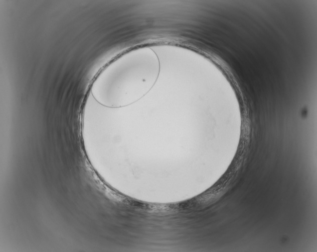 X0000116370807200912021008